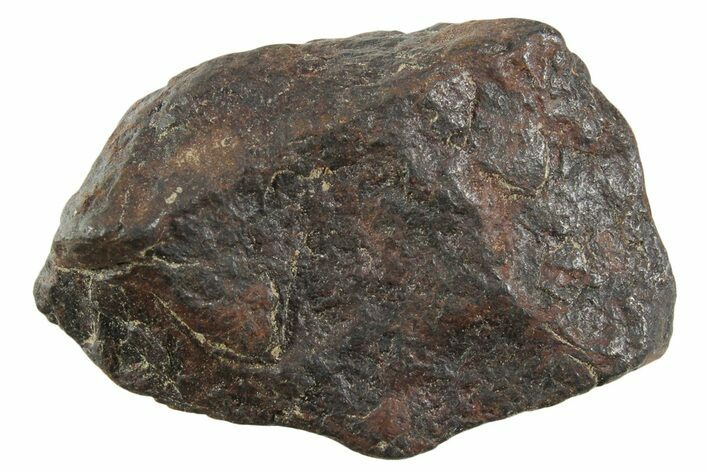 Canyon Diablo Iron Meteorite ( g) - Arizona #356116